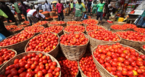 tomato-market-620×330