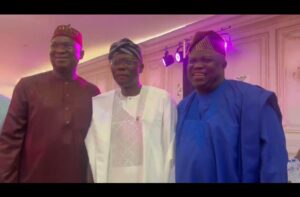 Lagos govs