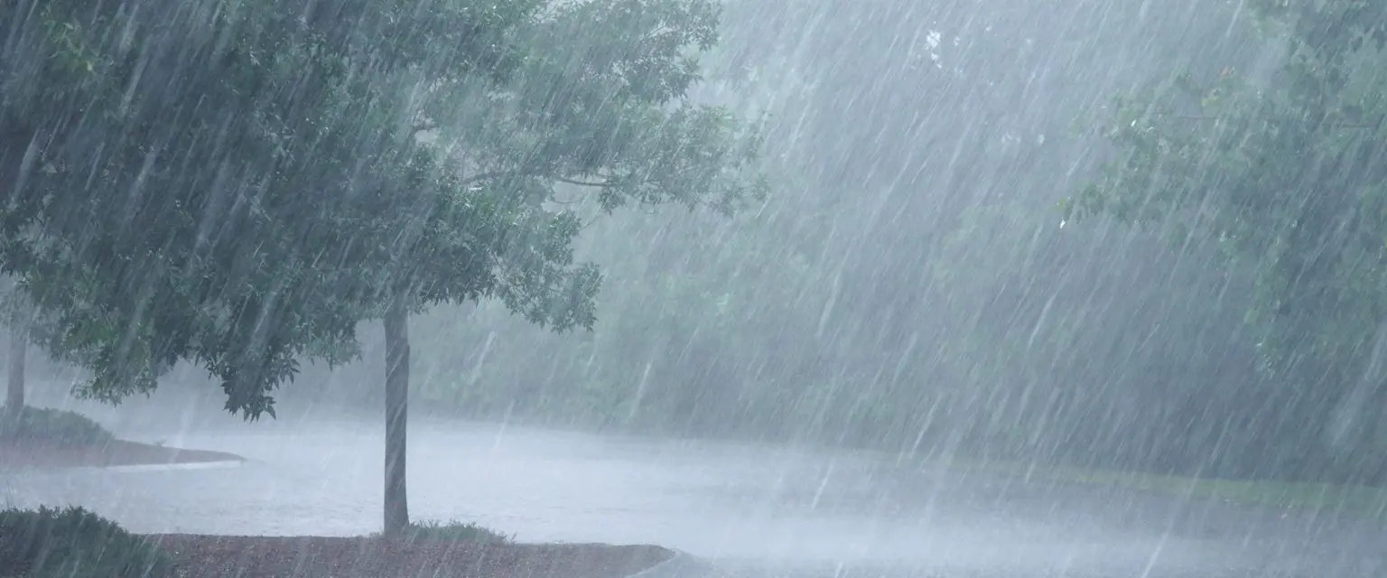 heavy-rain-1536×640